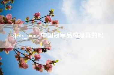 永康中国冠军品牌是真的吗
