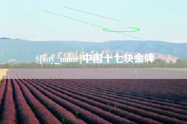 永康中国十七块金牌