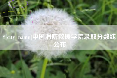 永康中国消防救援学院录取分数线公布