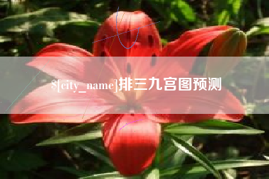 永康排三九宫图预测