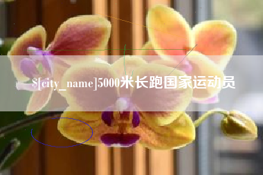 永康5000米长跑国家运动员