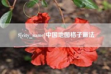 永康中国地图格子画法