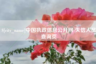 永康中国执政信息公开网-失信人员查询页