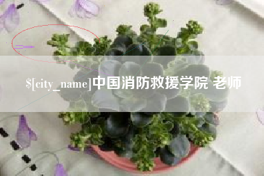 永康中国消防救援学院 老师