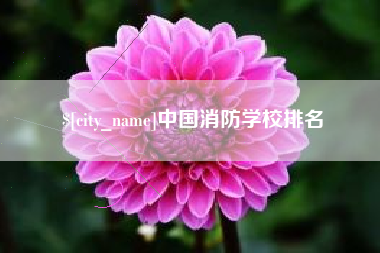 永康中国消防学校排名