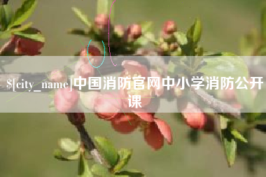 永康中国消防官网中小学消防公开课