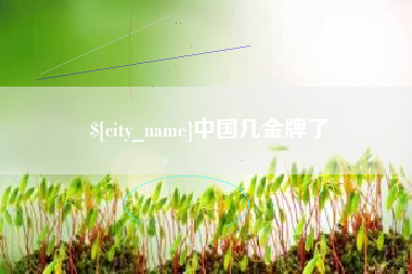 永康中国几金牌了