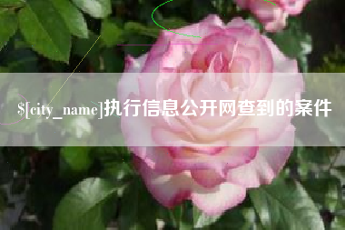 永康执行信息公开网查到的案件