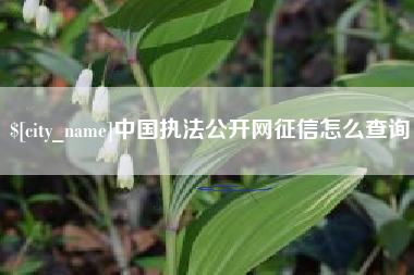 永康中国执法公开网征信怎么查询
