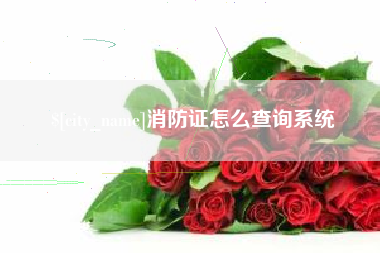 永康消防证怎么查询系统