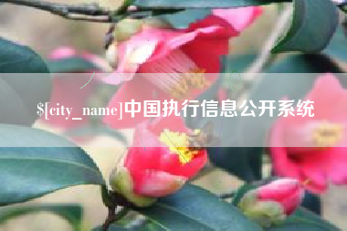 永康中国执行信息公开系统
