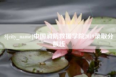 永康中国消防救援学院2019录取分数线
