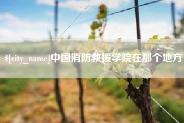 永康中国消防救援学院在那个地方