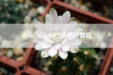 永康2021消防分数线