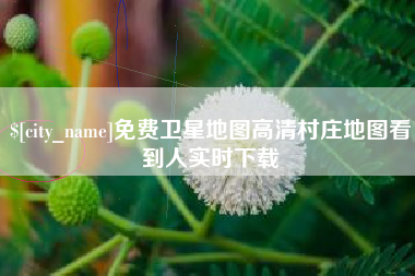 永康免费卫星地图高清村庄地图看到人实时下载