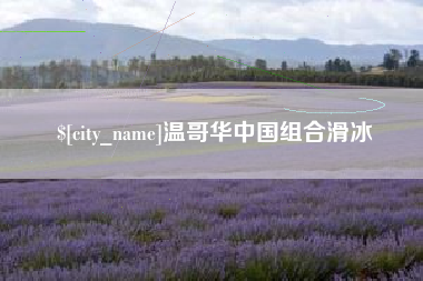 永康温哥华中国组合滑冰