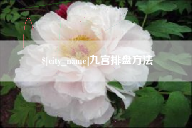 永康九宫排盘方法