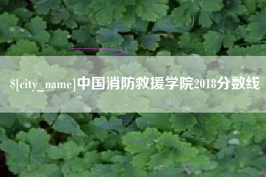 永康中国消防救援学院2018分数线