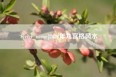 永康2021年九宫格风水