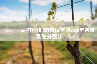 永康中国消防救援学院2020年各省录取分数线
