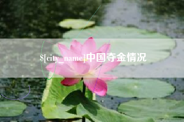 永康中国夺金情况