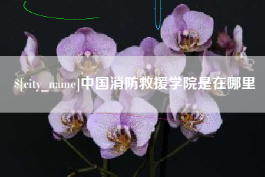 永康中国消防救援学院是在哪里