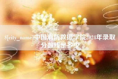 永康中国消防救援学院2024年录取分数线是多少