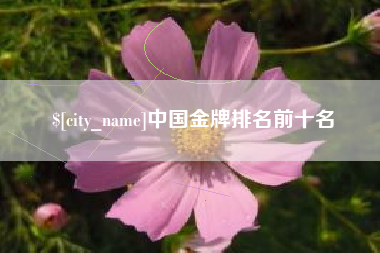 永康中国金牌排名前十名