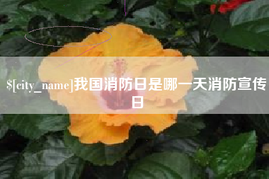 永康我国消防日是哪一天消防宣传日