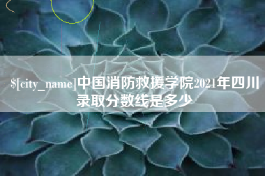 永康中国消防救援学院2021年四川录取分数线是多少