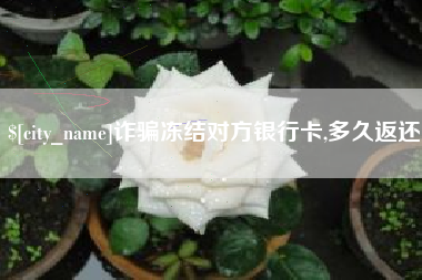 永康诈骗冻结对方银行卡,多久返还