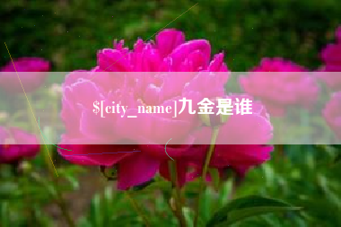 永康九金是谁