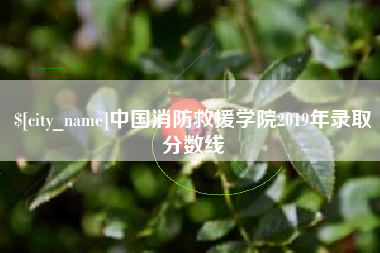永康中国消防救援学院2019年录取分数线