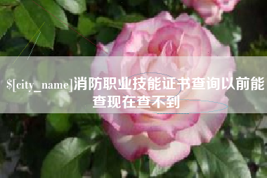 永康消防职业技能证书查询以前能查现在查不到