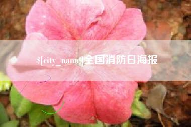 永康全国消防日海报