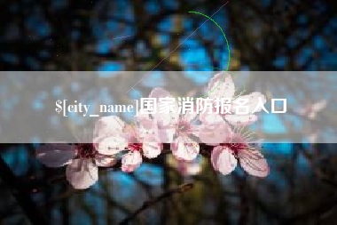 永康国家消防报名入口