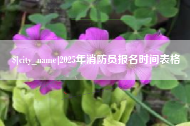 永康2025年消防员报名时间表格