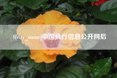 永康中国执行信息公开网后