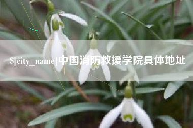 永康中国消防救援学院具体地址