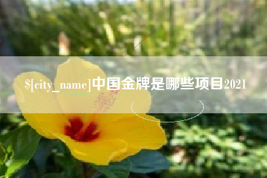永康中国金牌是哪些项目2021