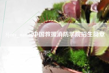 永康中国救援消防学院招生简章