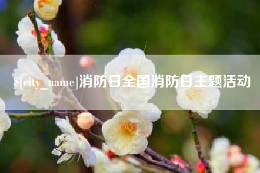 永康消防日全国消防日主题活动