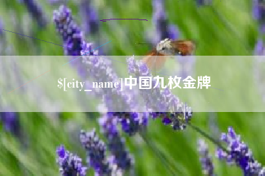 永康中国九枚金牌