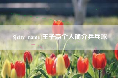 永康王子豪个人简介乒乓球