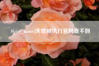 永康失信被执行官网查不到