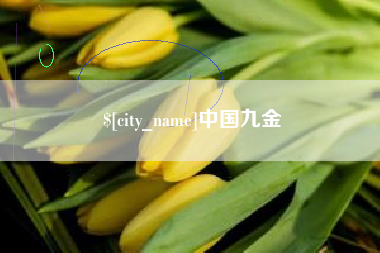 永康中国九金