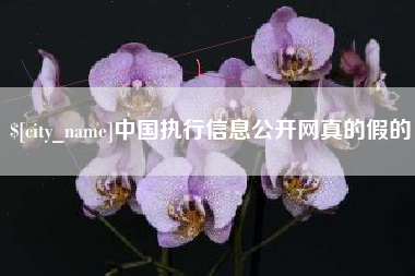 永康中国执行信息公开网真的假的