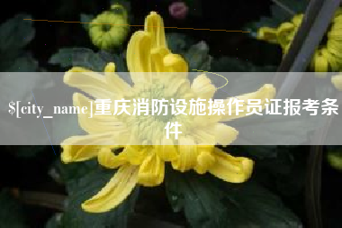 永康重庆消防设施操作员证报考条件