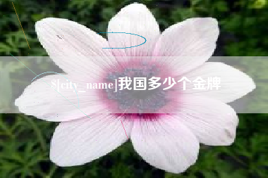 永康我国多少个金牌