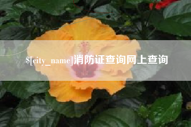 永康消防证查询网上查询